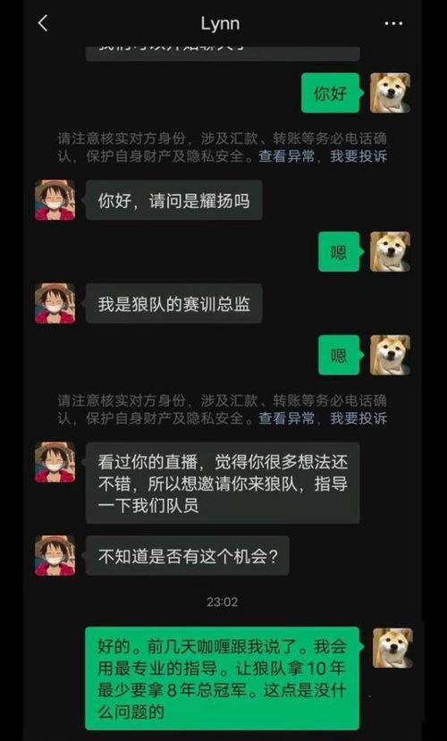 王者狼队最新爆料消息,神秘英雄即将登场，游戏格局再掀风云